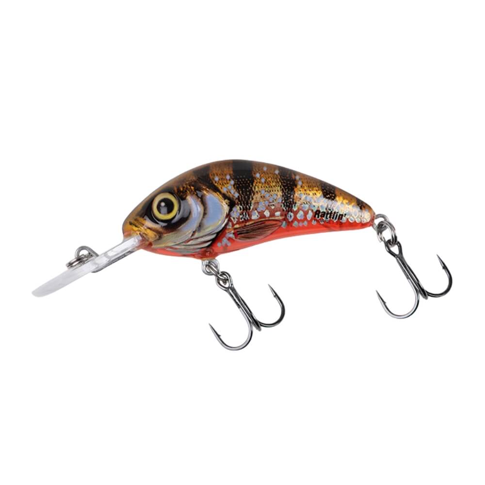 Salmo Rattlin' Hornet sur brochetperche.fr