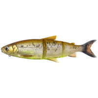 Avis de Justin sur le produit 3D Line Thru Whitefish 22 cm / 107 g / Brown Chartreuse