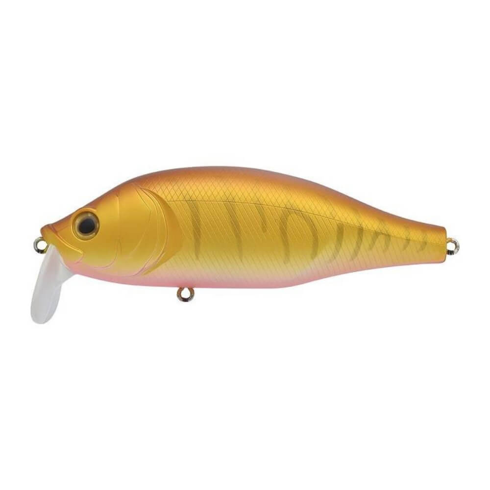 Xorus Dango 120 SR sur brochetperche.fr