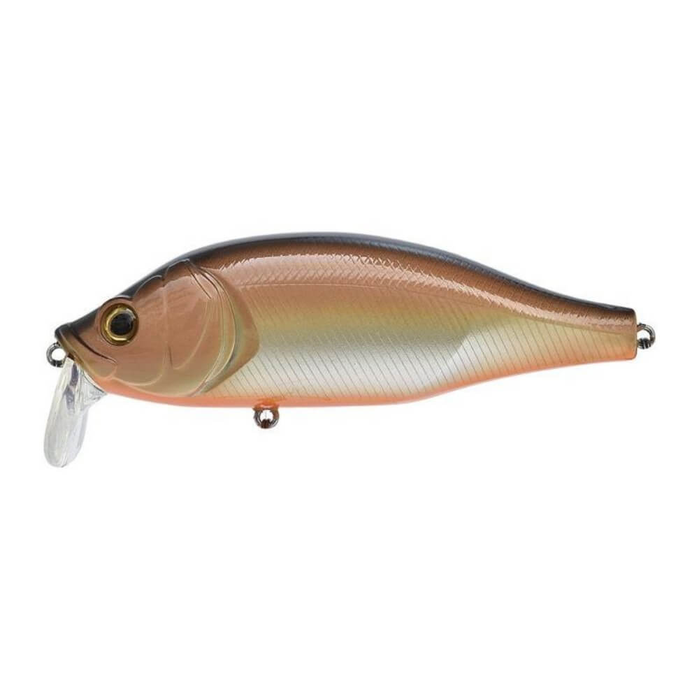 Xorus Dango 120 SR sur brochetperche.fr