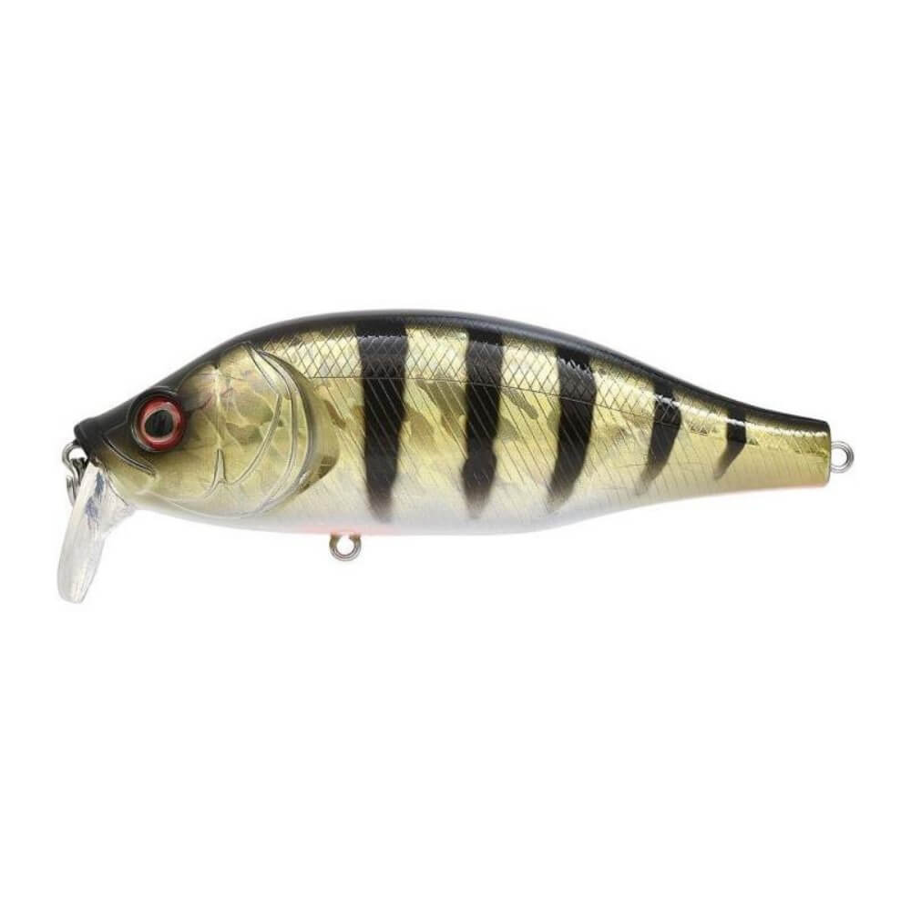 Xorus Dango 120 SR sur brochetperche.fr