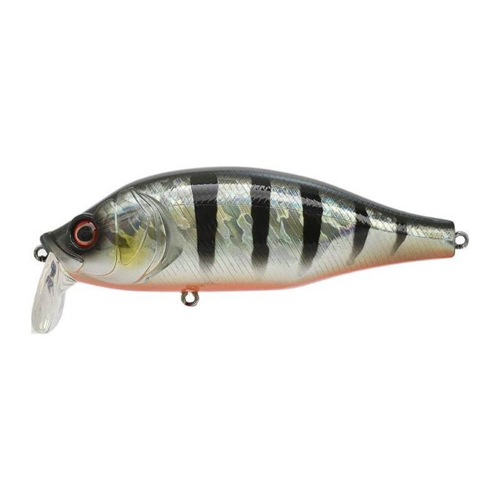 Xorus Dango 120 SR sur brochetperche.fr
