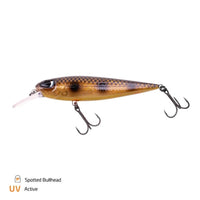 Avis de Jörg sur le produit Dundee 5 m / Spotted Bullhead